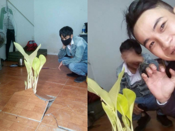 Sau kì nghỉ Tết, phòng trọ sinh viên bỗng dưng mọc cây chuối giữa nhà khiến cộng đồng mạng tranh cãi