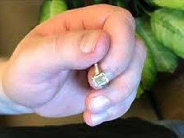 Cặp vợ chồng may mắn tìm lại được nhẫn cưới 700 triệu đồng ở bãi rác