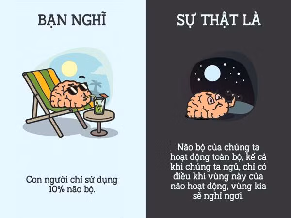 12 điều trước giờ bạn luôn nghĩ là đúng, hóa ra sai lè!