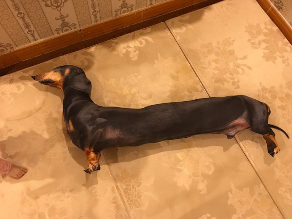 Người chồng đáng thương nhất của năm: Ai đời mua quà tặng vợ mà cả vợ và con đều khóc thét