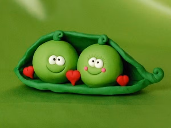 Bạn có tìm được sự tương đồng với ai đó, như “hai hạt đậu trong một quả đậu”?