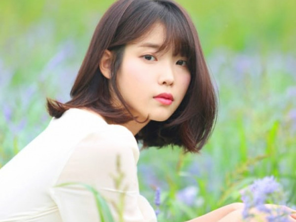 Ai khổ như IU, ủng hộ cho các nạn nhân cháy rừng cũng bị chỉ trích!