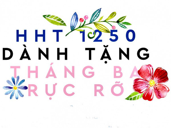 Hoa Học Trò siêu đặc biệt 1250 - Món quà dành cho tháng Ba rực rỡ