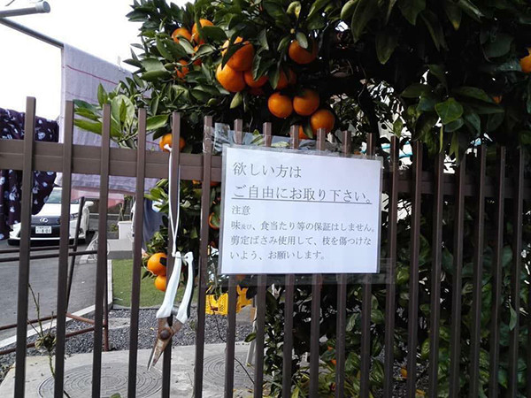 Những "chuyện nhỏ" ở Nhật nhưng khiến cả thế giới ngỡ ngàng