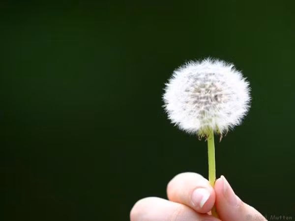 Những sự thật về cuộc sống tuy khó chấp nhận nhưng lại thực sự an ủi bạn