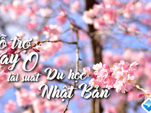 5 lý do ngày càng có nhiều học sinh lựa chọn du học Nhật Bản