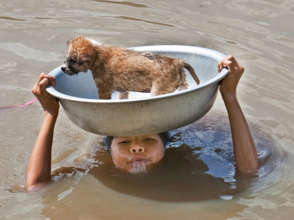 Bạn chắc chắn sẽ mỉm cười hạnh phúc khi xem những bức ảnh đẹp tuyệt này