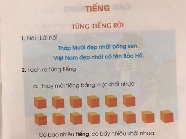 Sách đánh vần “hình tròn ô vuông” của GS Hồ Ngọc Đại bị rớt khỏi vòng thẩm định