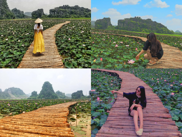Đầm sen kỳ lạ nở rộ giữa Thu, giới trẻ truyền tai nhau không thể không đi