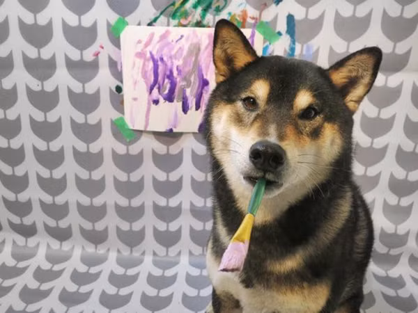 Chú chó Shiba có Instagram riêng, kiếm ra tiền nhờ tài vẽ tranh