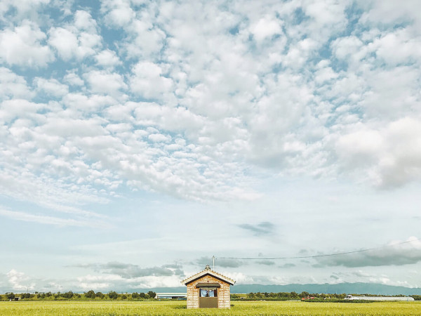 Ngắm nhìn một Nhật Bản trong veo trong mắt chàng trai người Việt