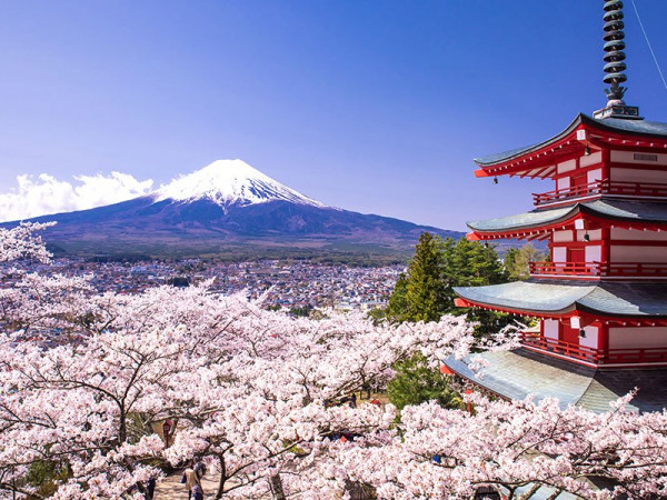 Từ vụ việc 165 du học sinh bị trường Nhật “bỏ rơi”: Làm sao chọn được trường uy tín?