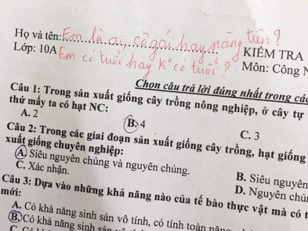 Học trò quên điền thông tin trong bài kiểm tra, giáo viên nhắc: "Em là ai? cô gái hay nàng tiên"