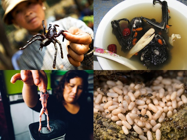 Đặc sản kinh dị chỉ có ở Châu Á, Việt Nam có mấy món?