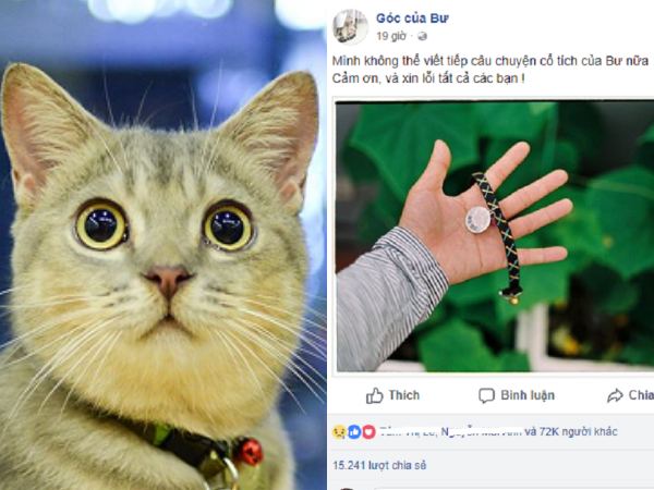 Cái chết đột ngột của chú mèo Bư khiến cộng đồng yêu động vật xót xa
