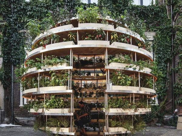 “Khu vườn trong mơ” của teen thành phố đã trở thành hiện thực!