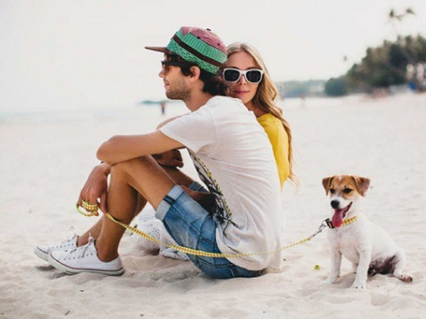 Hòn đảo nơi những chú chó là cư dân kiêm tourguide