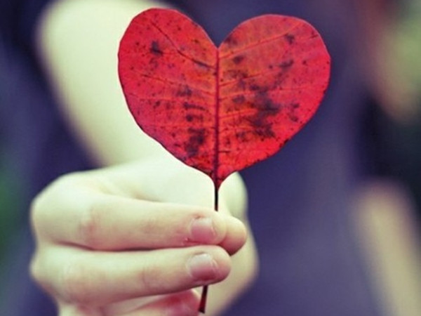 Câu chuyện về những thiên thần trên đường, có thể khiến bạn rơi nước mắt