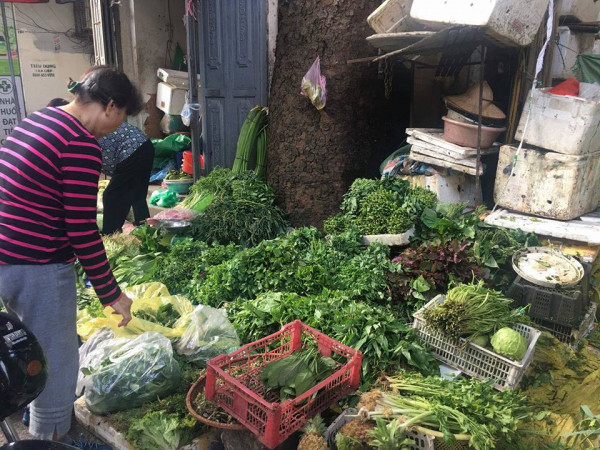 Hà Nội: Mưa kéo dài, sinh viên "méo mặt" vì rau xanh tăng giá... gấp rưỡi