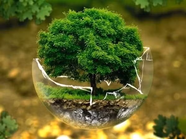 Bảo vệ môi trường không phải là “giải cứu Trái Đất”, mà là tỉnh táo cứu lấy chính chúng ta!