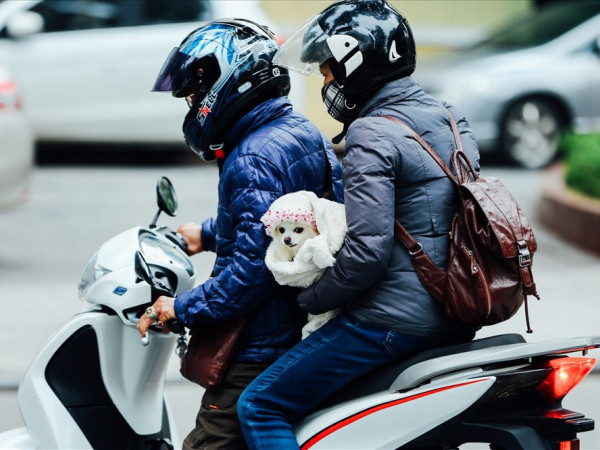 Dọn tủ quần áo thôi nào, teen sắp được đón gió mùa rồi!