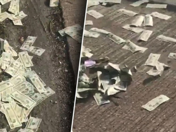 Đức: “Cơn mưa” tiền kỳ lạ đột ngột rơi xuống làm đường cao tốc phải đóng cửa