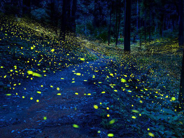 Những điểm đến có thiên nhiên tuyệt đẹp về đêm trên trái đất