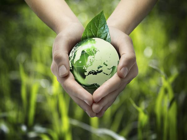 Lời nhắn ngày cuối năm: Một thay đổi nhỏ cũng giúp Trái Đất xanh hơn