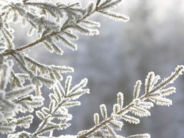 Horoscope tuần từ 9/12 – 15/12: Tuần lễ của những cảm xúc cực kỳ phong phú