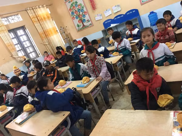 Học sinh ôm bụng đói đi học, cô giáo quyết tâm làm một điều khiến ai cũng cảm động