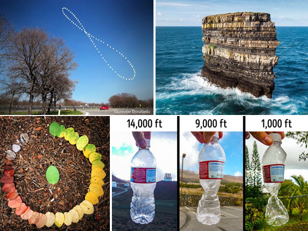 Những sự thật khó tin cho đến khi bạn tận mắt nhìn thấy!