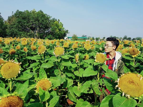 Muốn "sống ảo" tại Đà Lạt tháng 3, bạn không thể bỏ qua những địa điểm này!