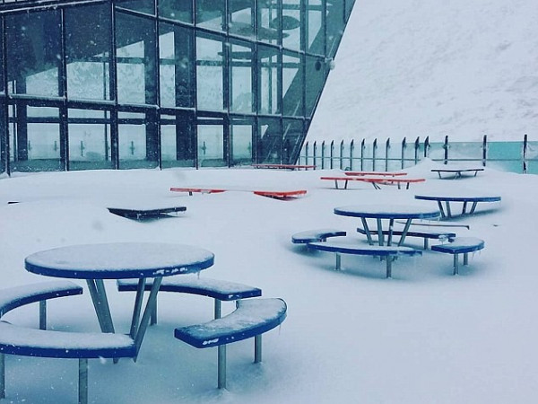 New Zealand bất ngờ chìm trong biển tuyết dù ở giữa Hè