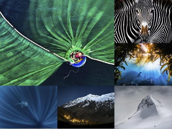 Nhiếp ảnh gia Việt Nam thắng lớn ở cuộc thi quốc tế về môi trường