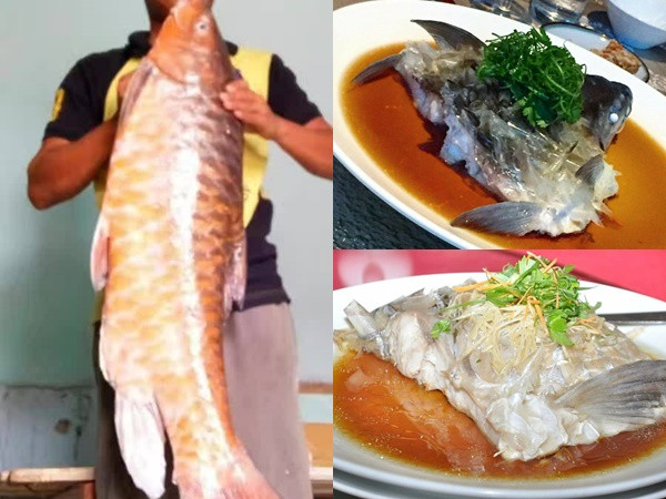Cá empura - loài cá " có vị độc nhất vô nhị"