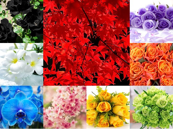 Chọn màu để khám phá góc khuất của bản thân