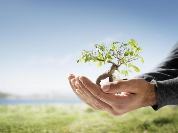 Horoscope: Bạn đã sẵn sàng trở thành “hiệp sĩ sống xanh”?