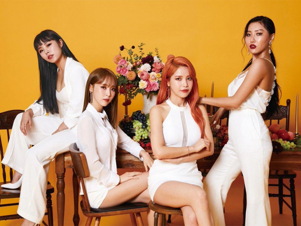 Mặc cho fan kiến nghị, công ty quản lý của MAMAMOO vẫn tiếp tục tổ chức concert như dự kiến