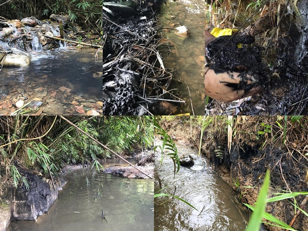 Hãi hùng hình ảnh nguồn nước đen ngòm dầu thải của Nhà máy nước sạch sông Đà