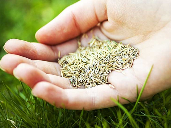 Hóa ra, có thể “đo” lòng tự tin của bạn qua một câu hỏi đơn giản thế này!