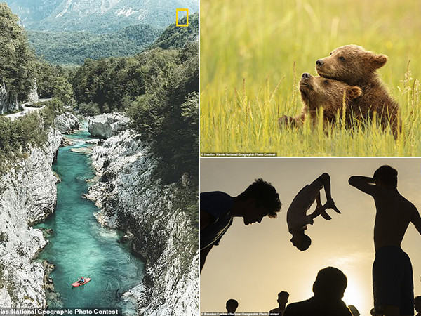 Những bức ảnh ấn tượng trong giải thưởng nhiếp ảnh National Geographic 2018