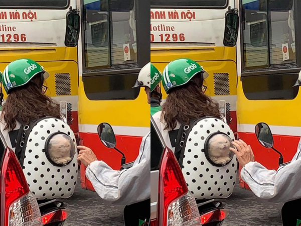 Bị cụ ông trên đường tiện tay "trêu chọc", "boss" mèo lập tức phản ứng xéo xắt thế này đây!