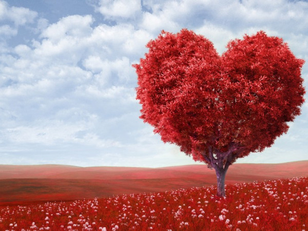 Trăng Non Bạch Dương và Mặt Trời Kim Ngưu hứa hẹn đem lại nhiều khởi đầu may mắn 