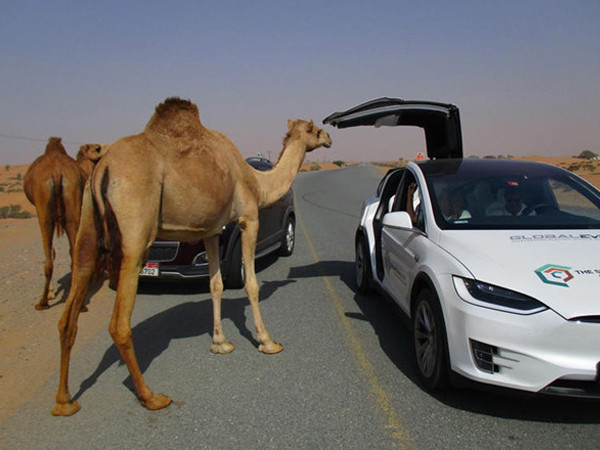 Cấm uống nước là một trong những luật giao thông kỳ lạ nhất thế giới