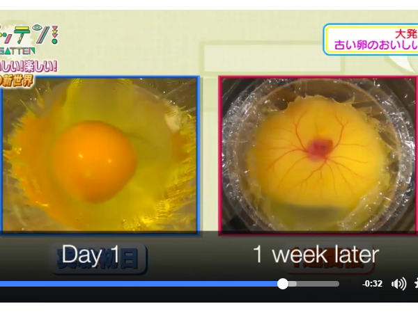 Tin nổi không, bạn có thể ấp trứng... không cần vỏ!