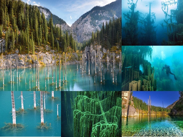 Hồ nước hút khách nhờ hiện tượng cây mọc ngược kỳ lạ