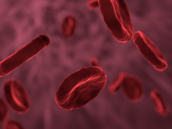 Bạn biết gì về máu vàng - nhóm máu quý và hiếm nhất thế giới?