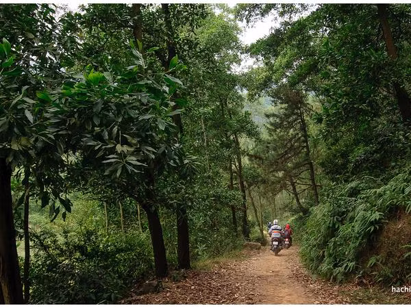 Chiến dịch "Măng non vượt lũ" đến với học sinh Hà Tĩnh