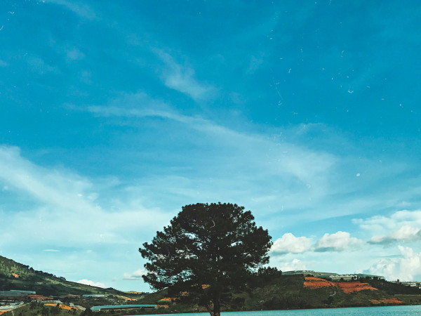 Đi cây thông Cô đơn Đà Lạt chưa? Biết đâu đến lại hết cô đơn thì sao?