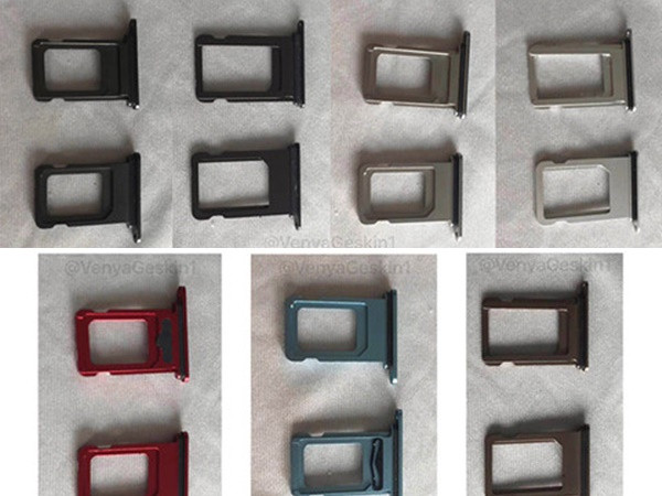 Rò rỉ khay SIM iPhone Xc xác nhận nhiều màu, hỗ trợ SIM kép